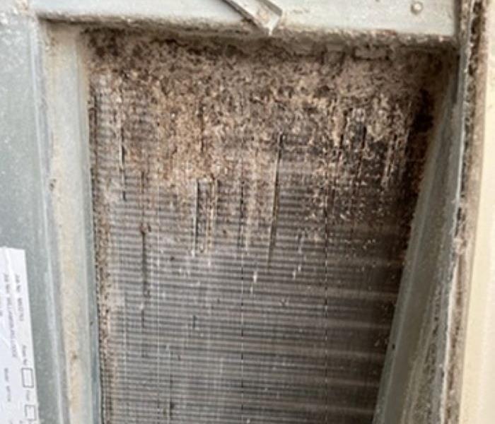 mold covering vent