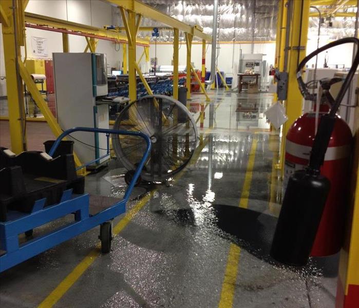 Water Seen on the Floor of Wrap Plant